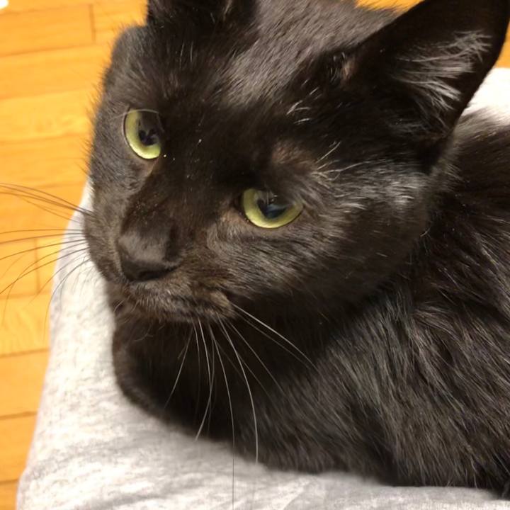 Fde92c21 5751 43b0 8c2e 4e72d85c2a34 1574827235106