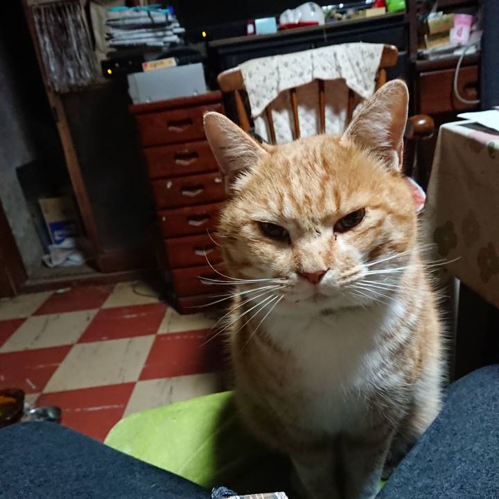 Fde9673c 1d25 4938 b139 111c88db3248 1580327626509