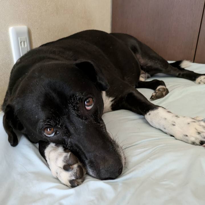 Fde9731e 8fa9 4f46 8a2f 6e0a23e7289b 1726709477737