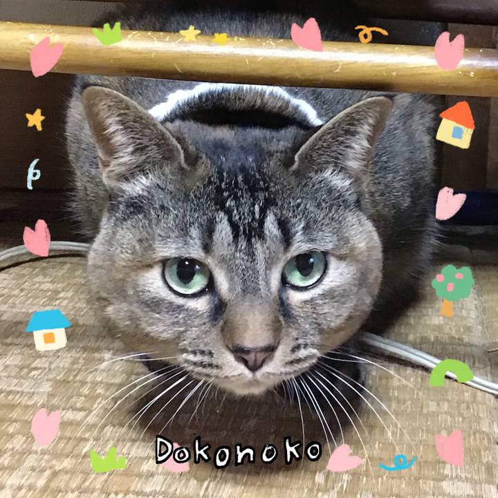 Fde996e7 6863 4b85 9ea4 819159cf1bca 1741169853882