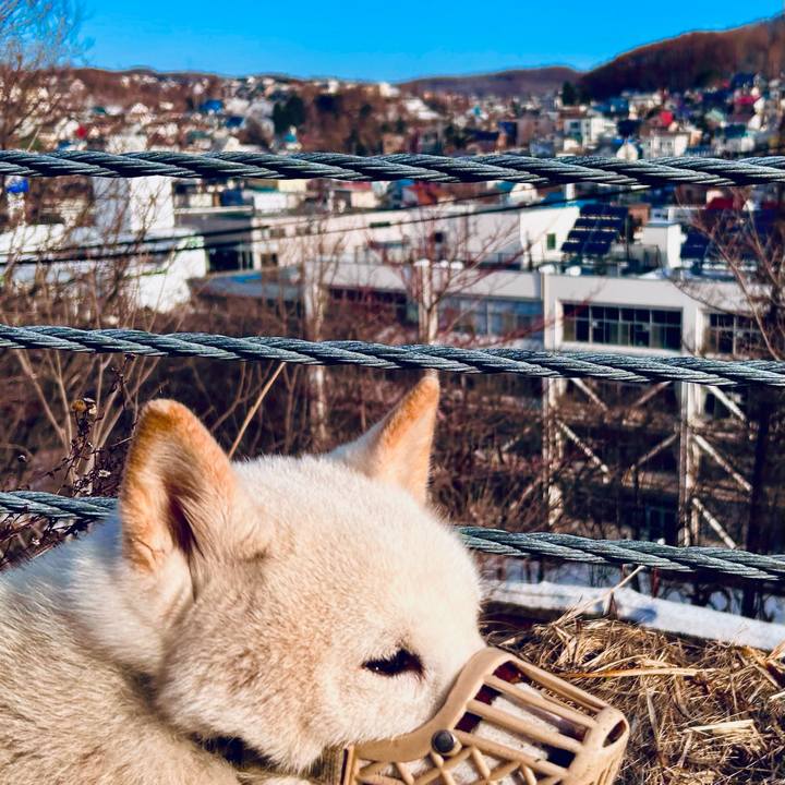 Fde9c43e 23eb 45b0 81e2 2de58c5f5fa0 1743546611712