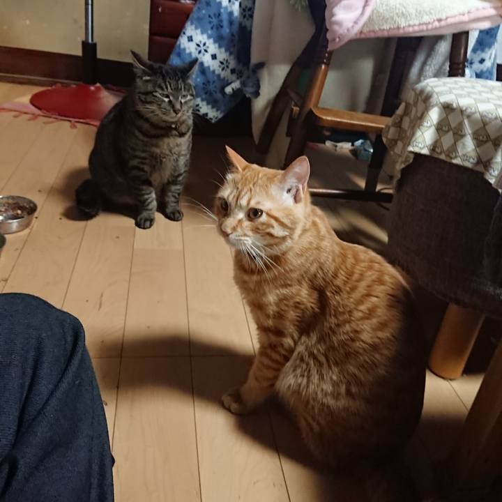 Fdea0b0d 7932 4e39 824e 85da9524d46e 1644573945038