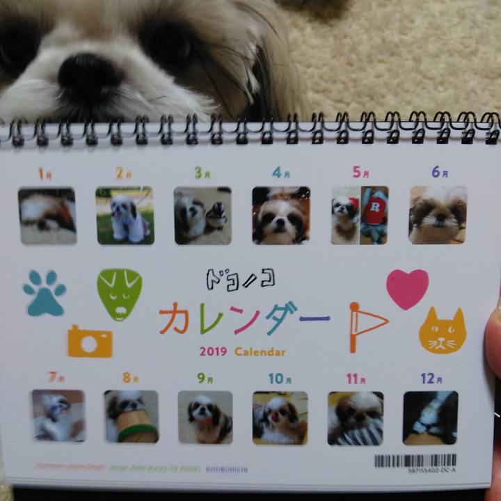 Fdea11b1 20d7 406c b200 64acac1f935b 1546089554421