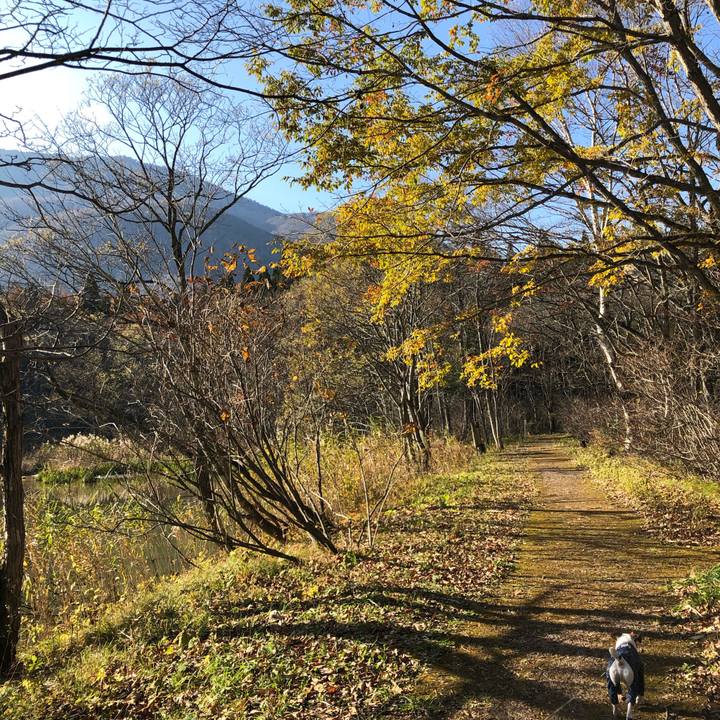 Fdea382c fc33 4daf 8346 eb3d85ade060 1573623775573