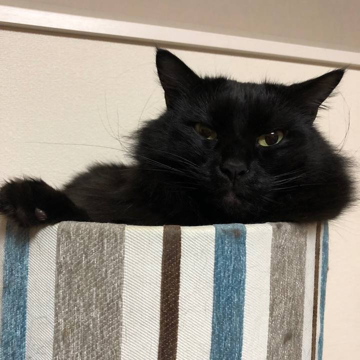 Fdea5868 0a40 40d7 8017 83af1de64f0c 1513250423977