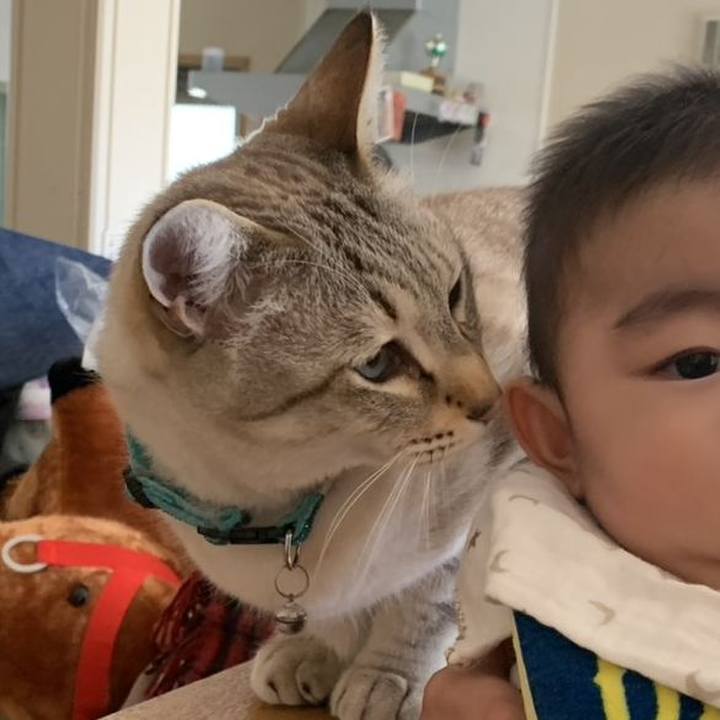 Fdea6e8b e2c7 4097 ba2e 135628f5cb40 1773225873926