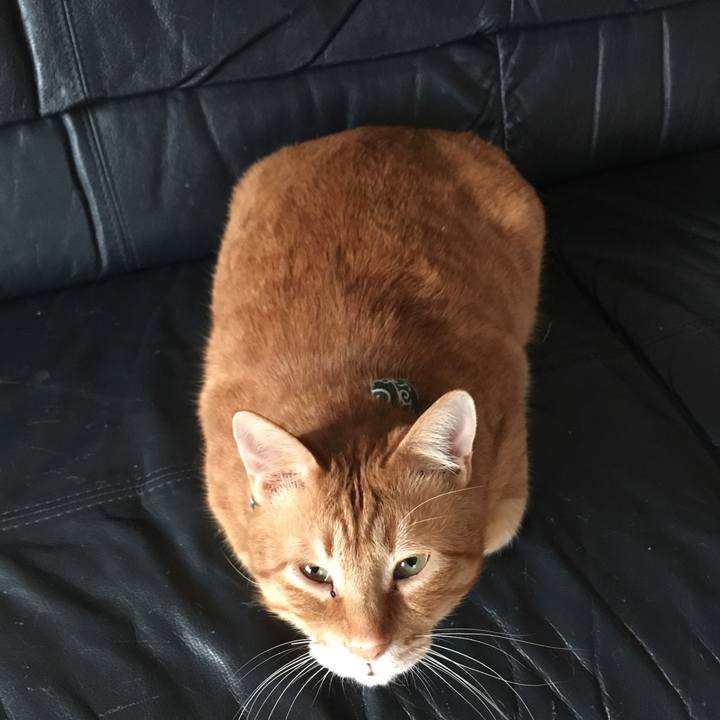 Fdea878b f58a 4d09 a593 fab312e8584b 1552426757753