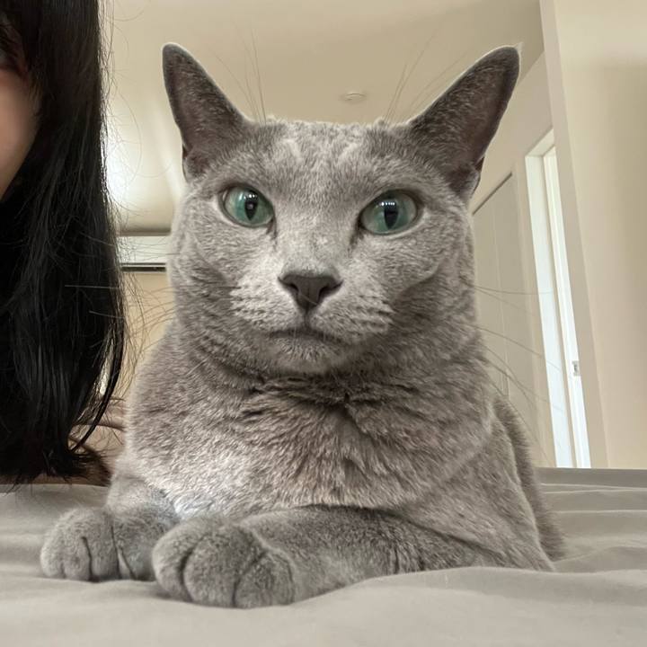 Fdeaa0fe 92f9 4c67 b69d d3966974c3c0 1757813602667