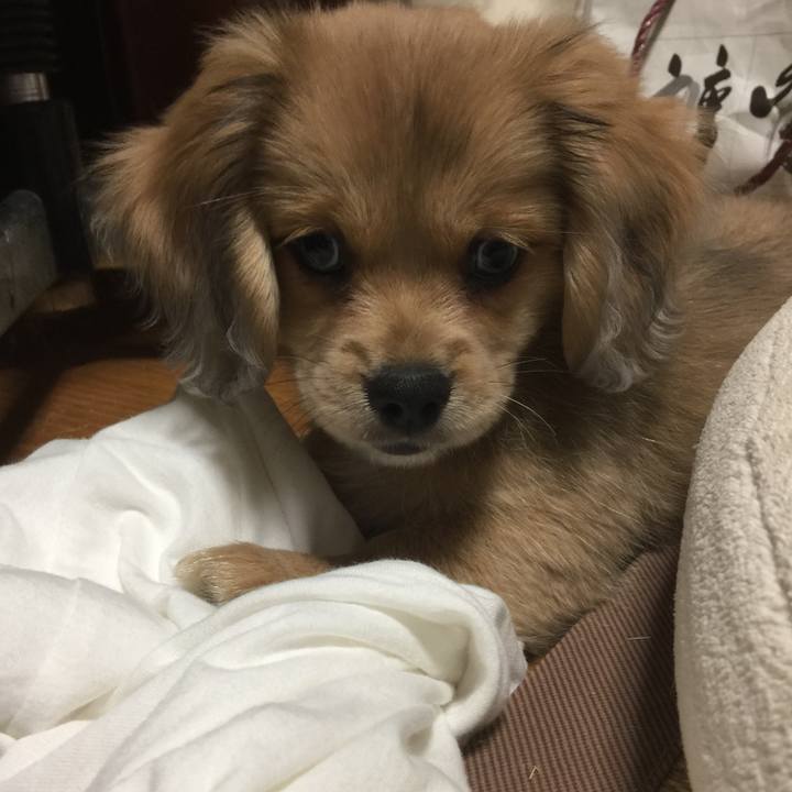 Fdeadf35 eff4 4c70 9007 fe3da568cb9a 1536703743564