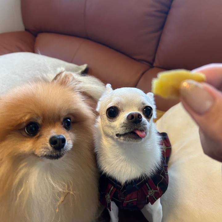 Fdeb04c9 0a79 4956 9708 c4fa5eac0711 1759909300163