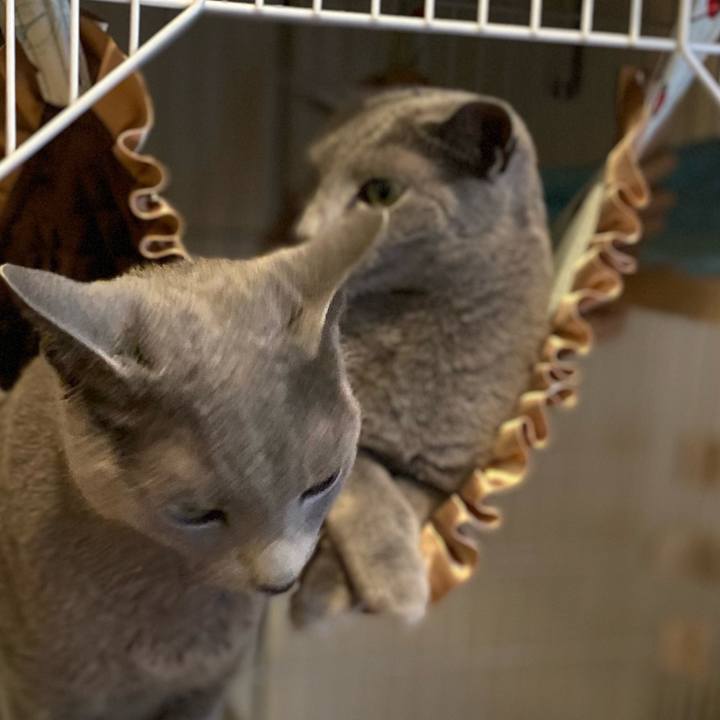 Fdeb2a32 c805 49a6 8d08 2143e67dfdca 1716198195012