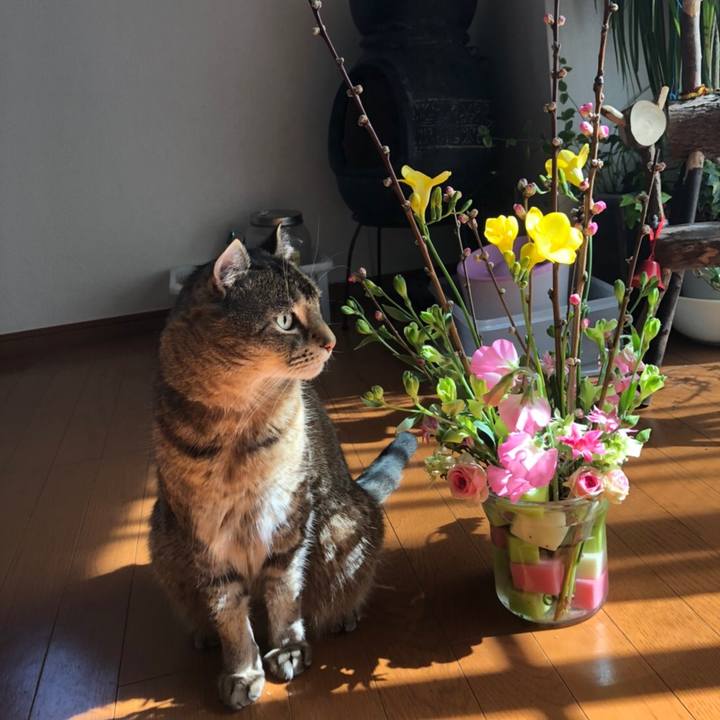 Fdeb2b1a bd2f 4742 93ab 3976603964e8 1613951588368