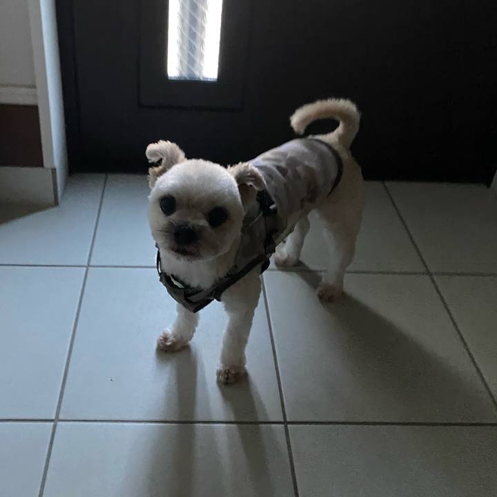 Fdeb533c 3553 4ba0 aeae c4c9ba969db1 1692935696929