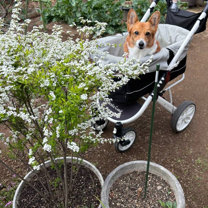 Fdec20c8 0532 4ff7 9333 51e7eff17052 1743043772119