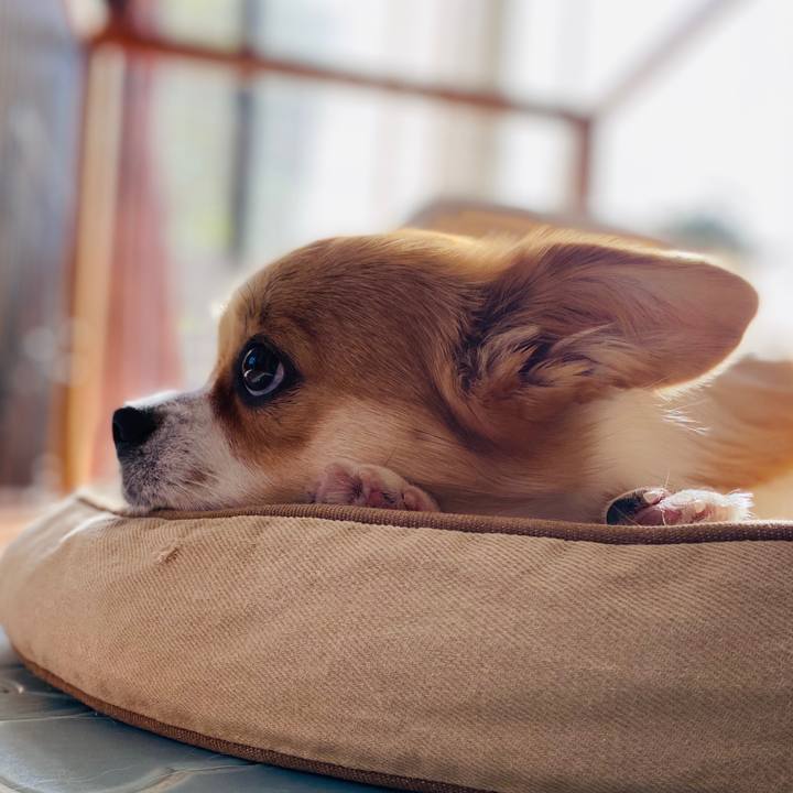 Fdec2162 e11c 49d7 99d3 45bdf66d11d6 1589699518263