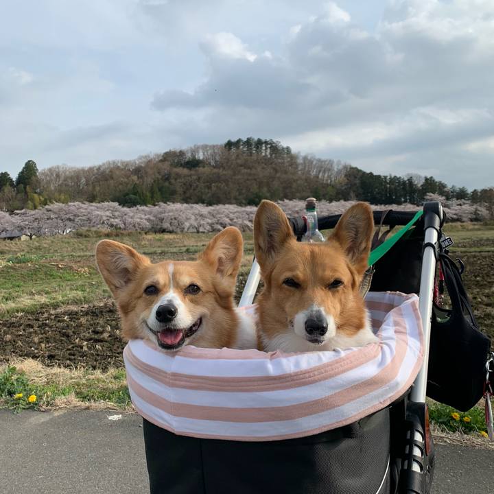 Fdec2de8 8617 435d a012 acdfbdbac5b9 1648627108337