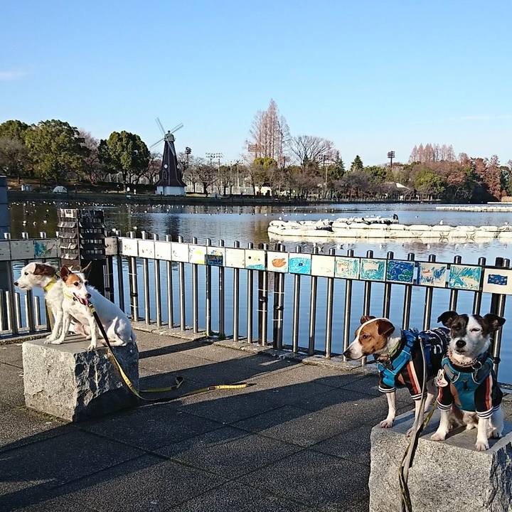 Fdec4bc6 ccf9 41db 84c4 164cdb3a1abe 1577619174758