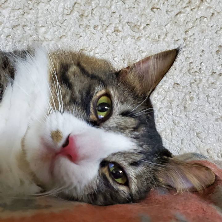 Fdecad6f 3b51 42a1 97bd beae790462a2 1691536843471