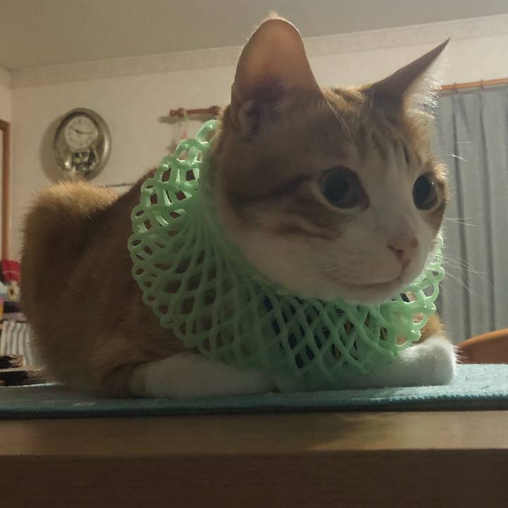 Fdecb4bd 3fd0 4b4e 9c2d 82fa37c06881 1536585549583