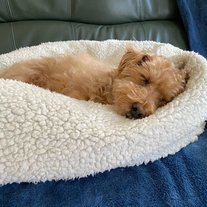 Fdecb6ce 974d 49ae 8596 7e255b02d012 1616673160301