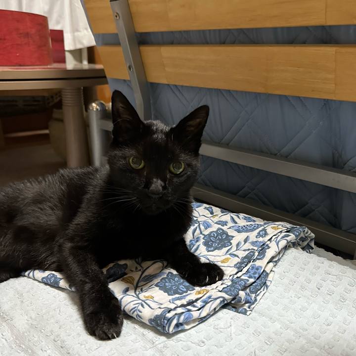 Fdecb866 b508 4072 b2b1 88e89b152e86 1695347001008