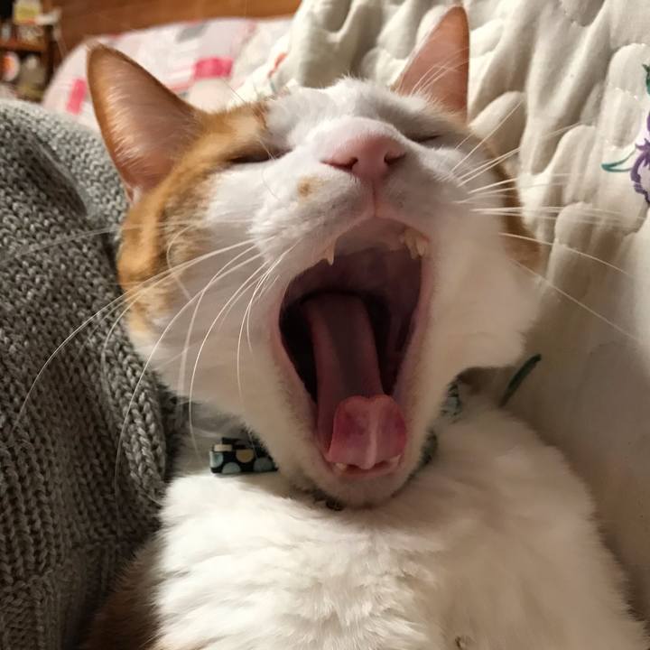 Fdecf9e7 053d 4cae a9f3 9506ef27d7db 1607524011435