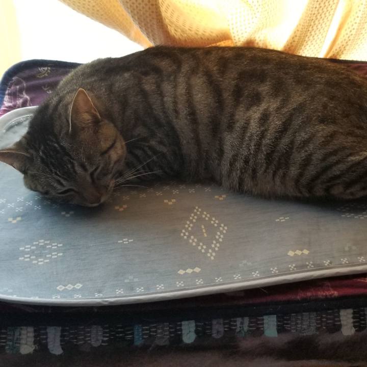 Fdecffd8 970e 4dbd 9dff 2721e5eb8eab 1690980709012