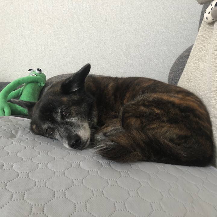 Fded367e 2689 4d93 80b6 a6957279cd18 1692323944775