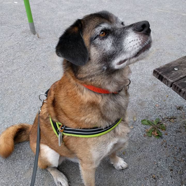 Fded505f edac 45dc bdfe 86a1432a8ddd 1688345089759