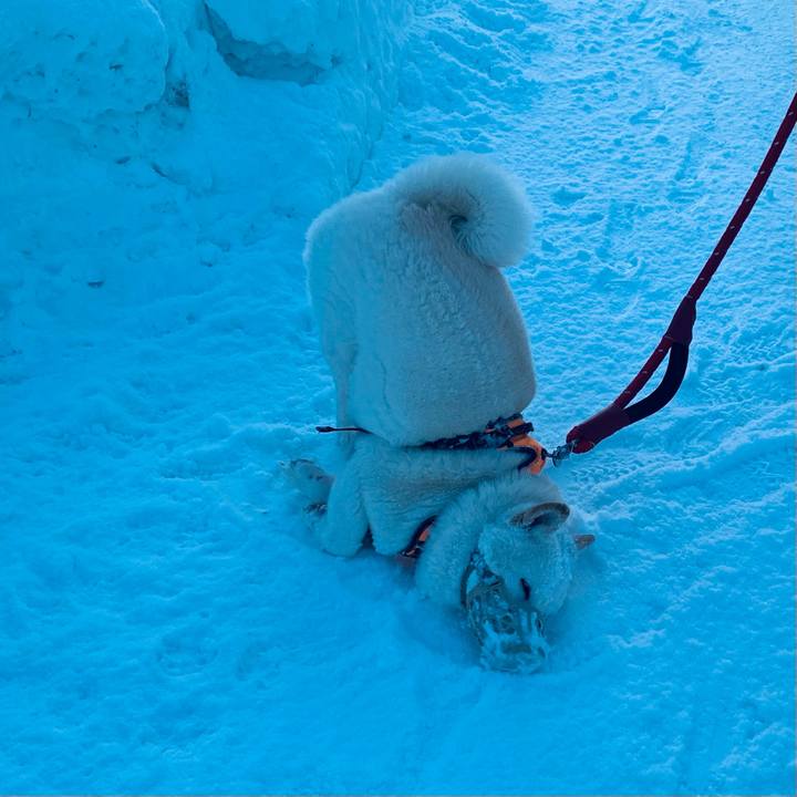 Fded6e09 54bd 4b45 b16d 3ec4bebc176f 1675550919990