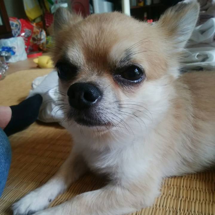 Fded828f ab31 4580 aebf 73a176316289 1534572823373