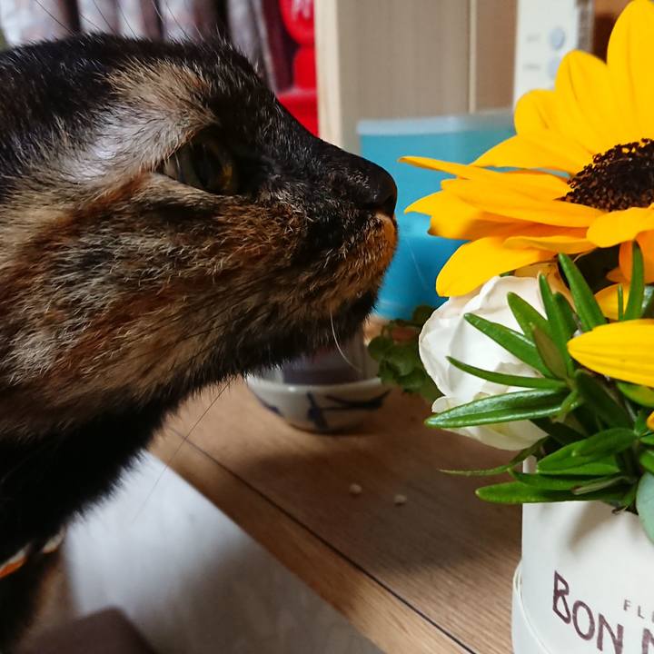 Fdede782 338e 49bb a2e9 69c6446c4772 1529073095178