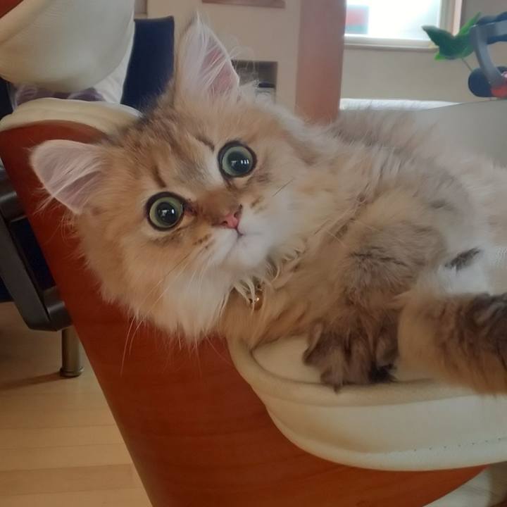 Fdedfe37 5b39 408a 8e03 cd5201226c0a 1559867220819