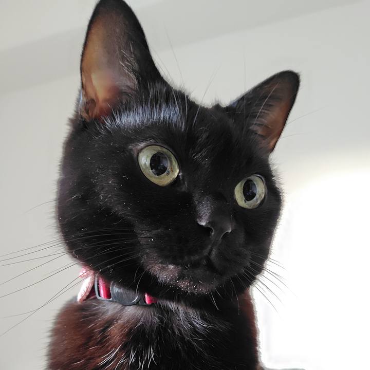 Fdee1cd4 ecf2 41ff 81f2 6abb97e2b936 1763589927197