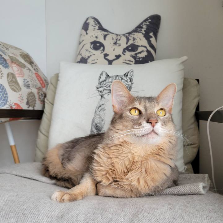 Fdee3cf1 1f4d 4eaf 93a5 28df61bb18b3 1679490611965