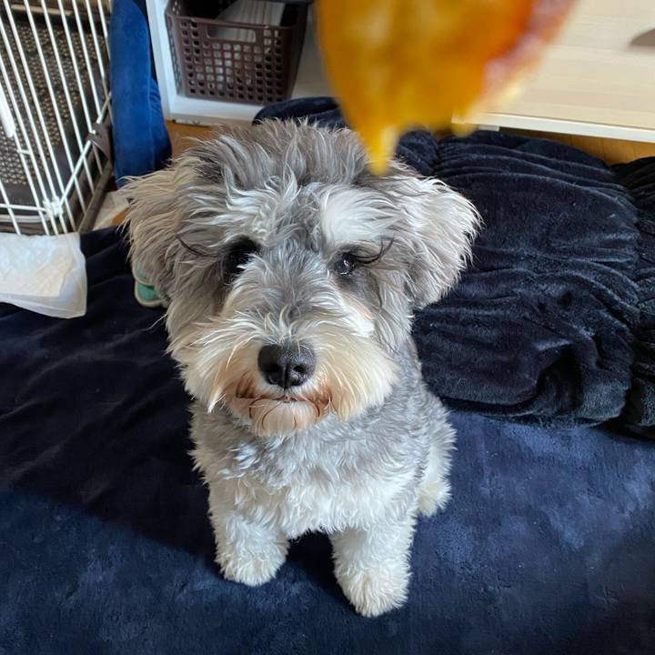 Fdee461a a877 475b a80a 82426808195f 1588135517959