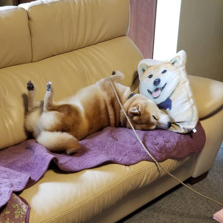 Fdee5d82 cbbb 4e9c bdc6 6e70cbcb213f 1572570503102