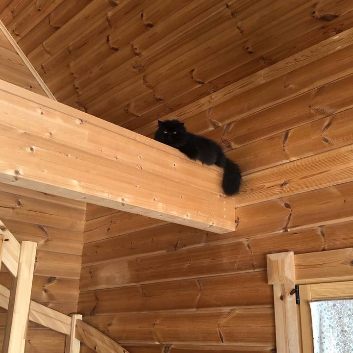 Fdef0e75 10bf 4b13 bca7 bfda340c93dc 1635902667129