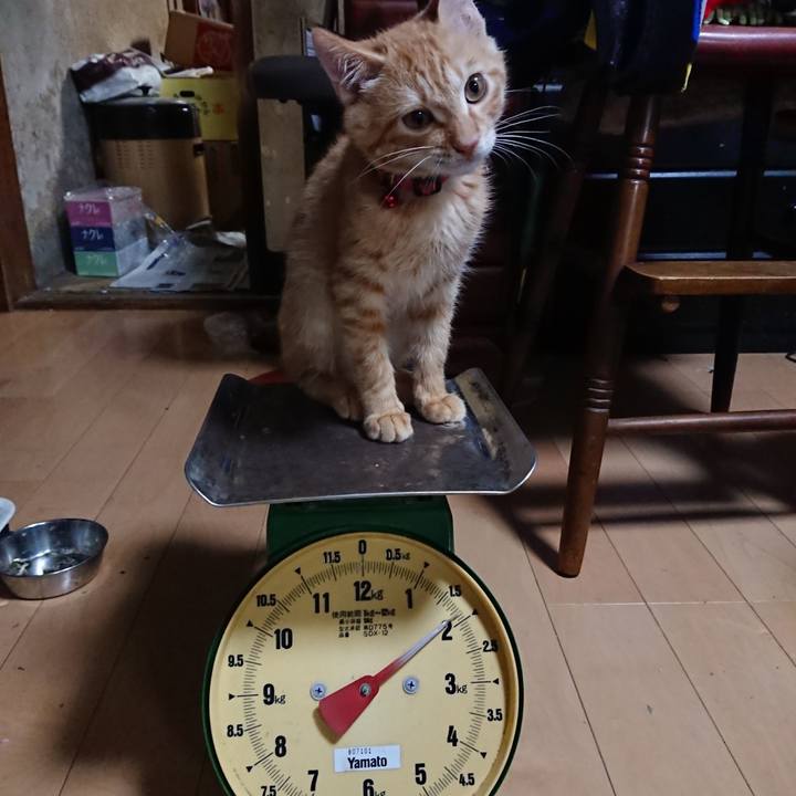 Fdef4e4c eb3c 41eb 8ae3 907324b099de 1632475458975