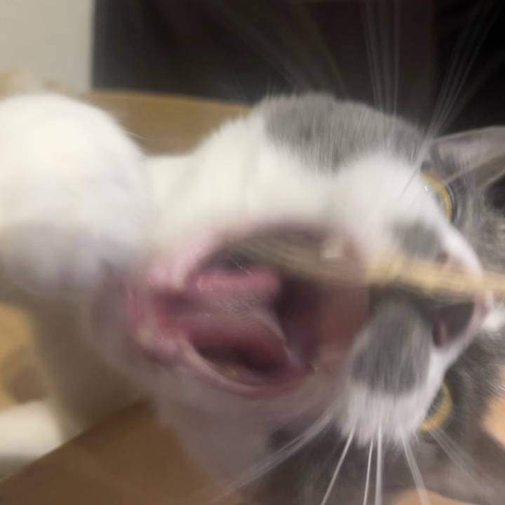 Fdef6d41 4052 4dd8 844b 4d82a7844238 1623753488623