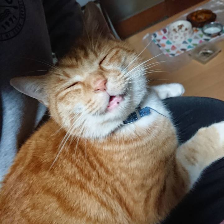 Fdef8864 3c16 4e37 a7bc 1deb7a0f9ca9 1606559883712