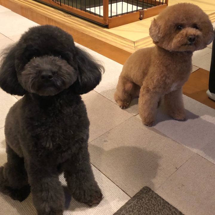 Fdef9071 4546 43ea b08e c7a5bb71c288 1580358732054