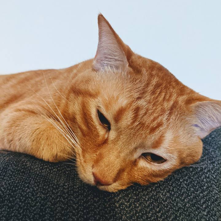 Fdef9968 a60b 4878 af9f 64ba5610b928 1632011702140