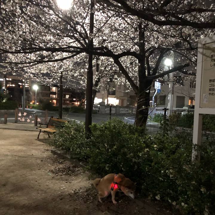 Fdefbcff 27f5 4acd 8b9c b932c26e17ec 1585313244475