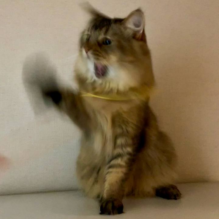 Fdefd0c0 f9f9 49a5 a526 5e83a93aabe7 1753138474367