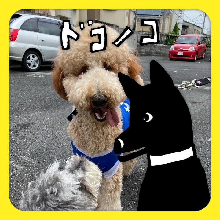 Fdefe027 e20d 402a 8c3c 60293d87bea6 1622942940825