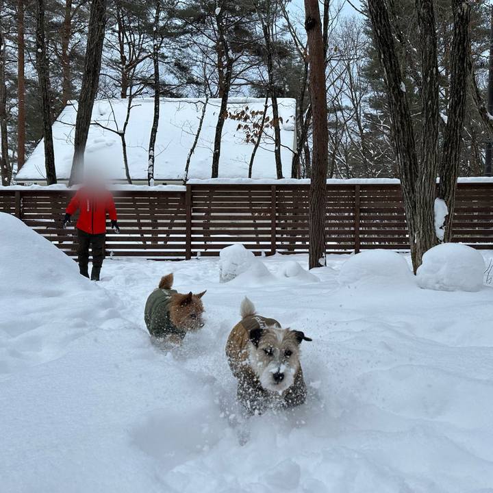 Fdf02770 5ed2 4e75 994d c13a964e0348 1738418099441