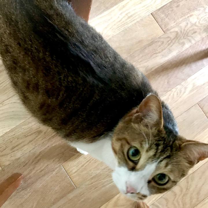 Fdf03c0a 1d78 41c8 af99 5b5aa2428b67 1556082017055