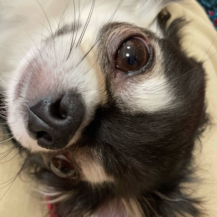 Fdf04af8 e11d 4631 90a1 ab82c457918d 1680966621093