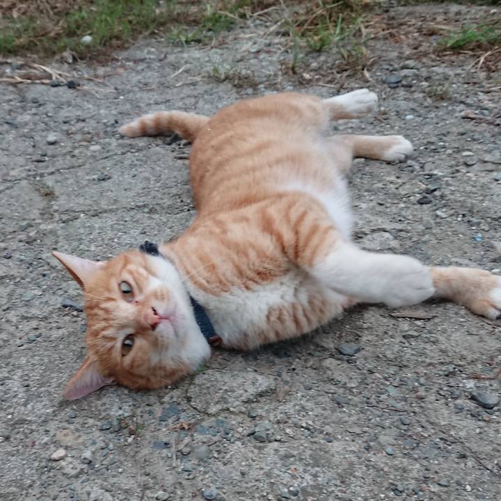 Fdf06baf 2d0a 48ee af8a 4c81c05eab16 1567976104280